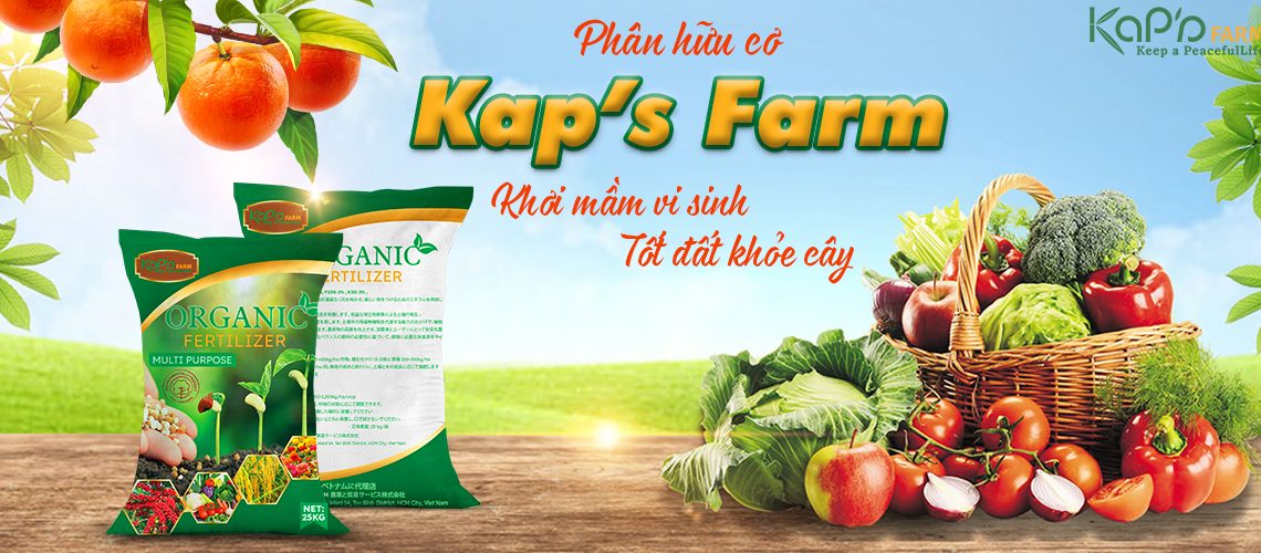 Dịch vụ thiết kế đồ họa T Agency