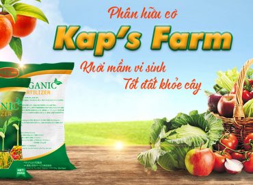 Dịch vụ thiết kế đồ họa T Agency