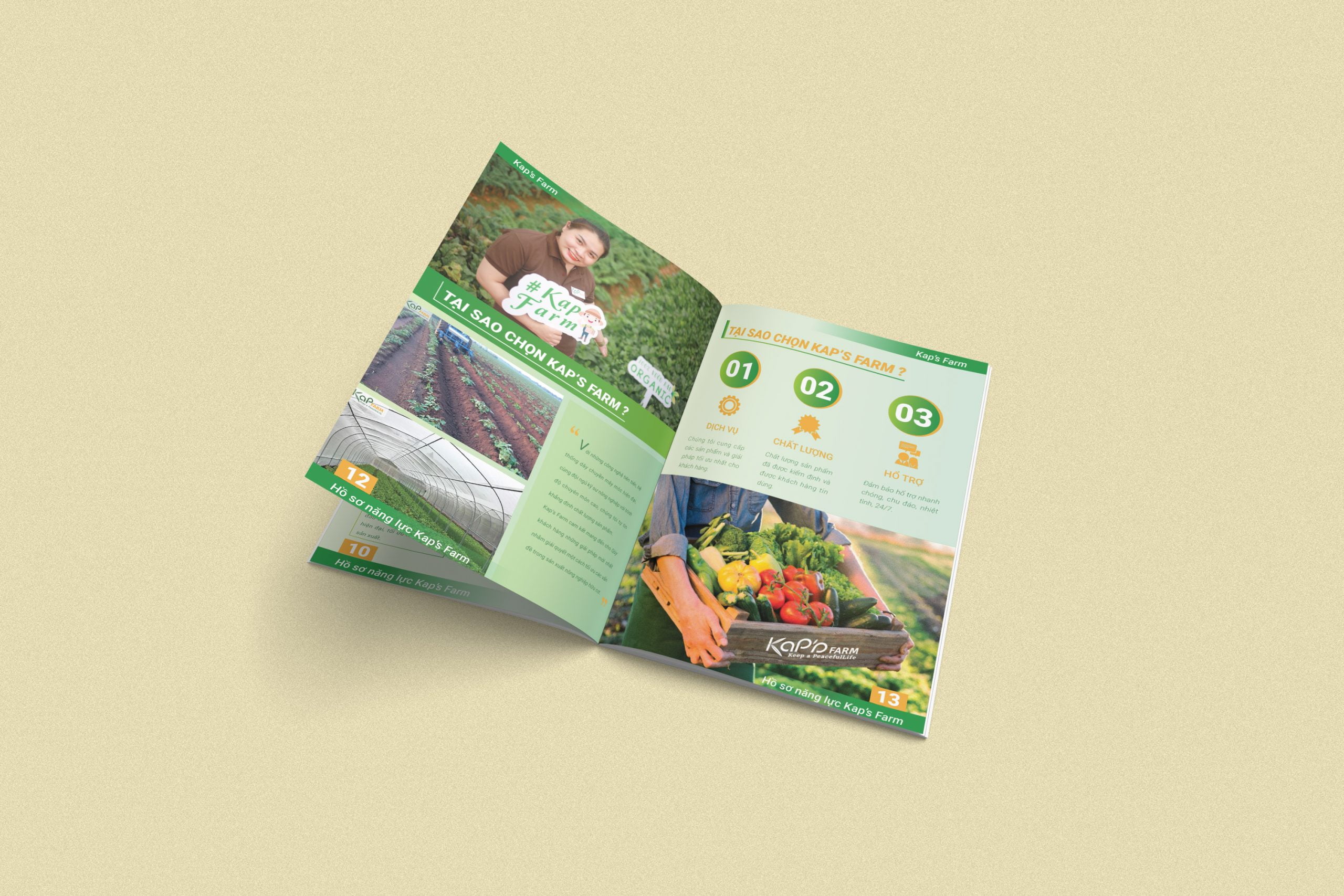 thiết kế catalogue đẹp