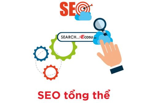 SEO-tông-thể