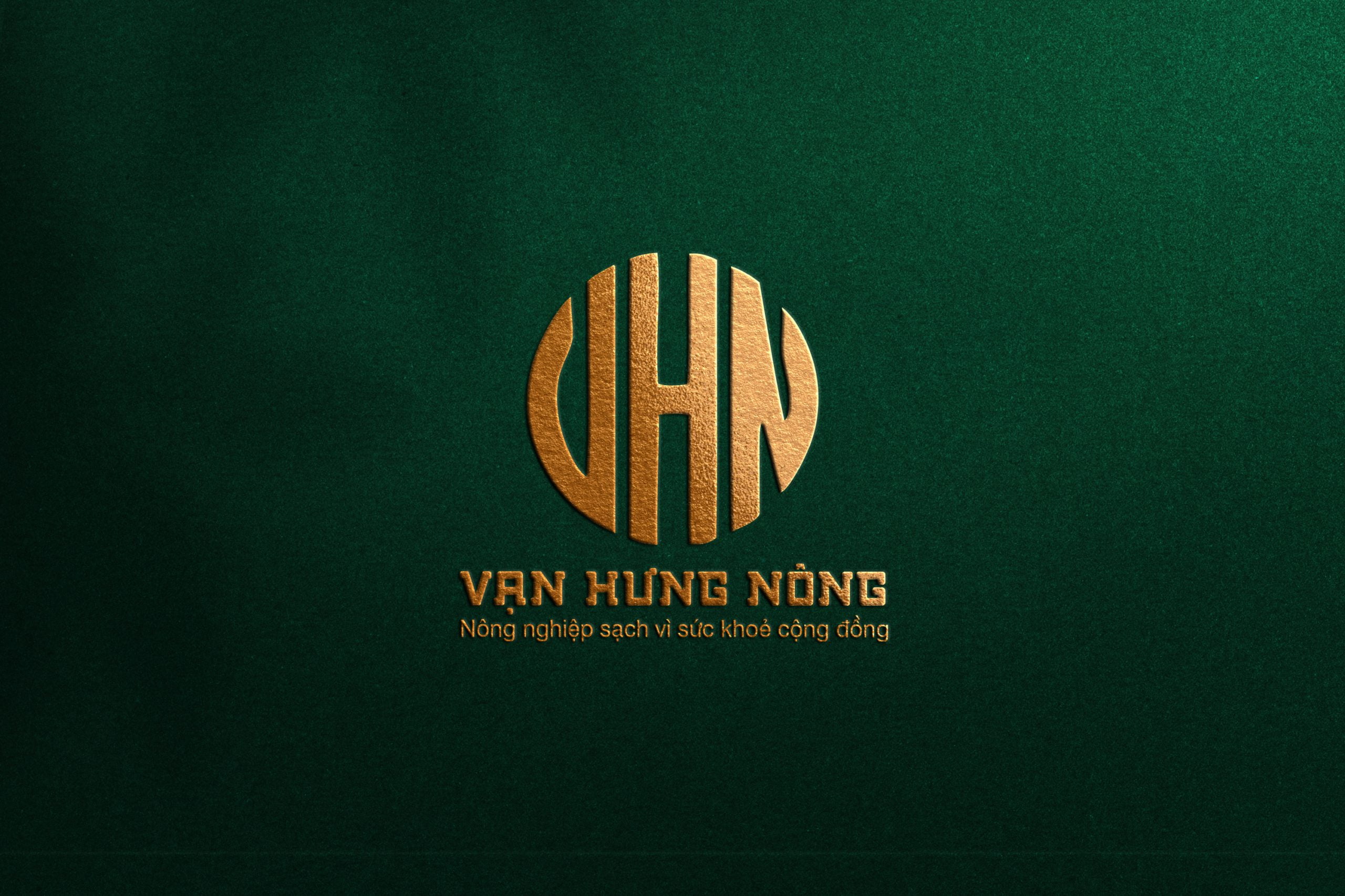 Thiết kế logo giá rẻ