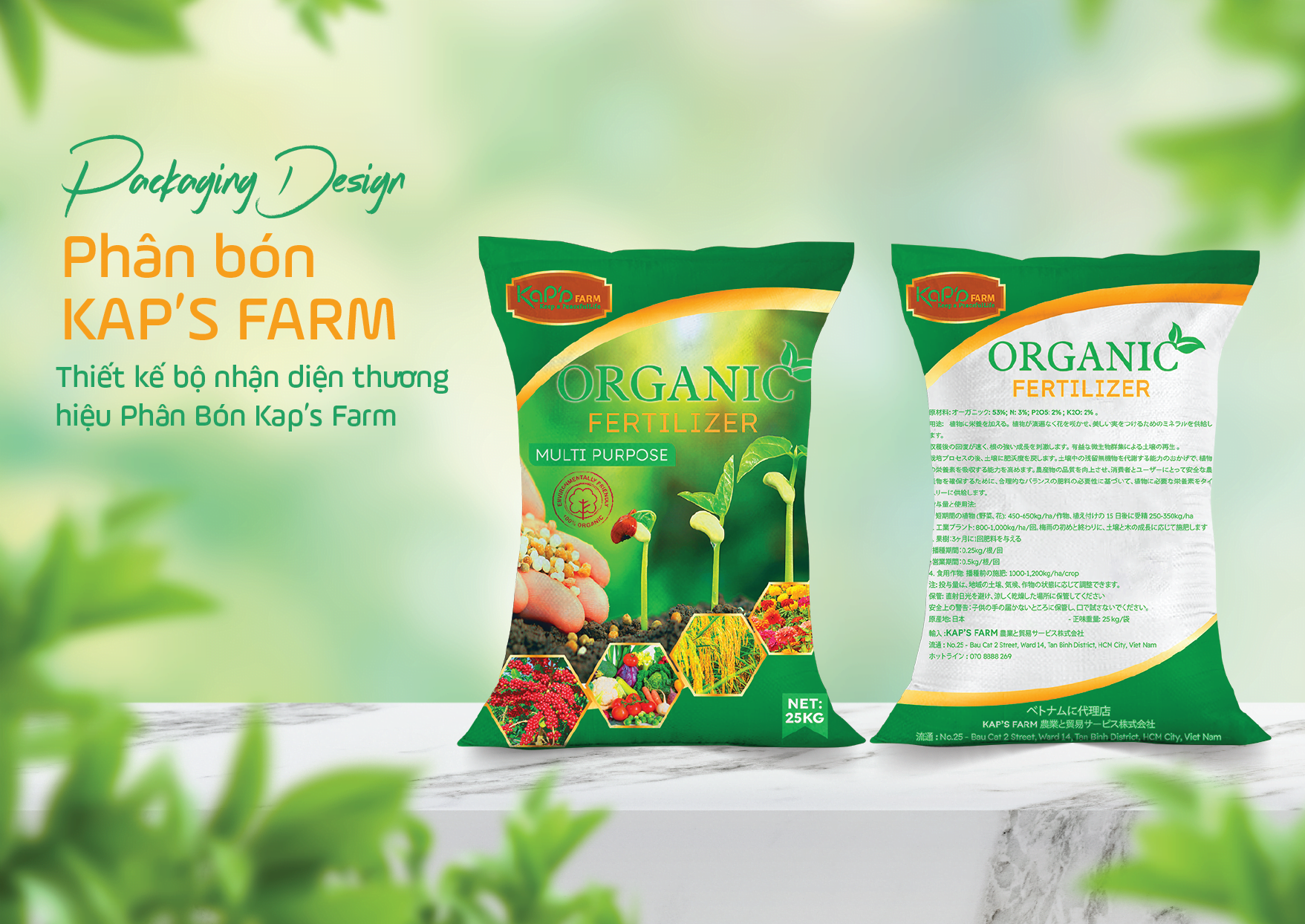 T Agency cung cấp dịch vụ thiết kế bao bì chuyên nghiệp