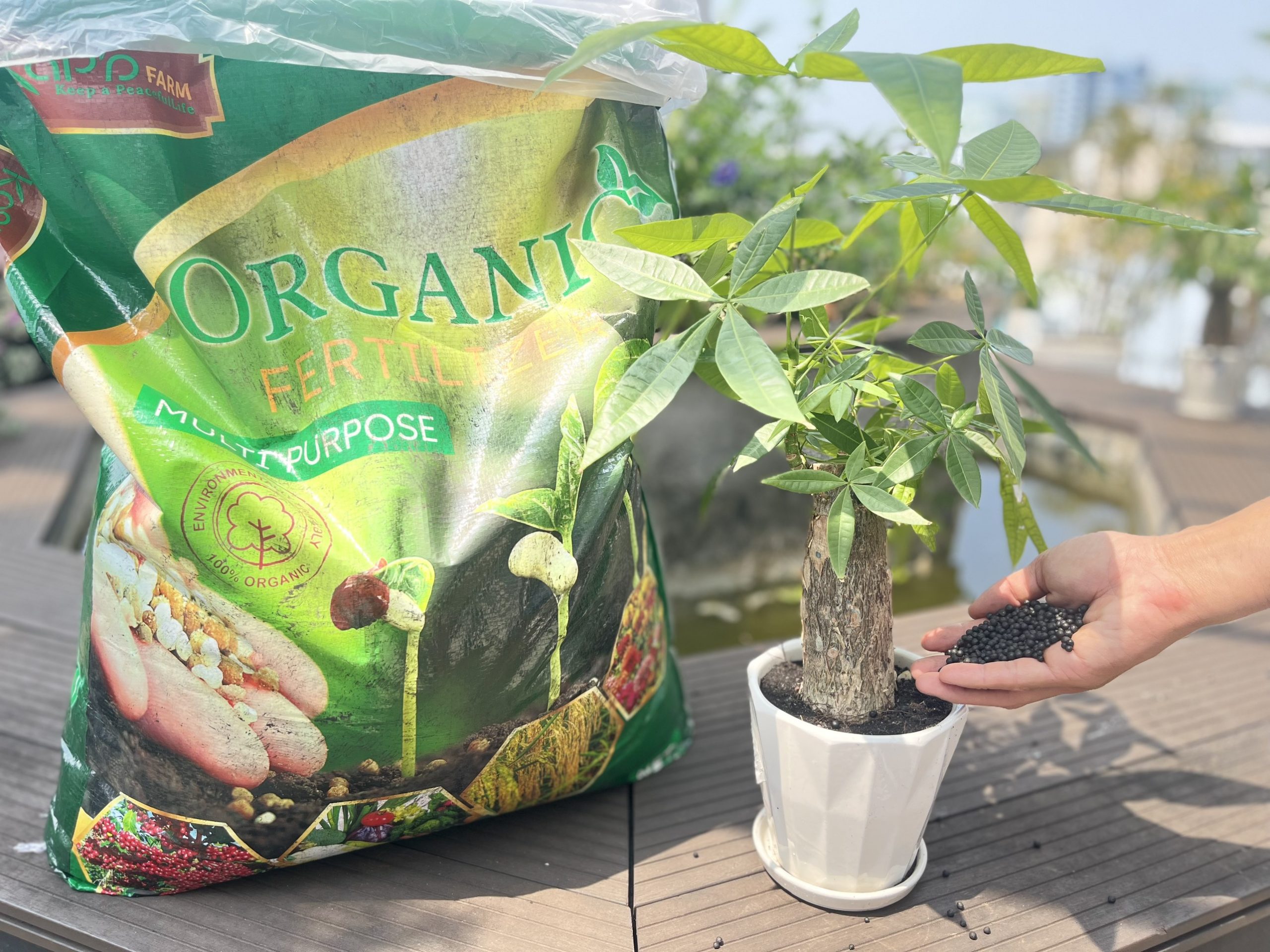 Phân bón hữu cơ Nhật Bản